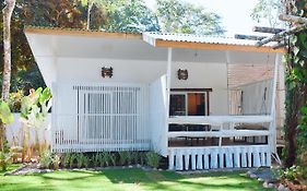 Olivia Del Caribe Suite